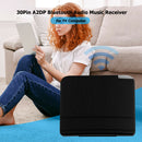 30Pin A2DP Bluetooth Audio Music Receiver Adapter for TV Computer (Black)
