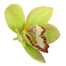 20 pcs Simulation Flower Great Cymbidium Flower Head (Green)