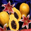 30pcs Fresh Dwarf Papaya Fruit Seeds Very Sweet Organic Fruit Garden BonsaiRlj