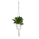 hemp rope new braided hanger pot green plant hanging rope basket M&O