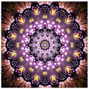 4 Pack Fantasy Flower DIY 5D Diamond Painting Full Drill Cross Stitch Home Decor