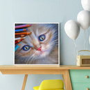 DIY Color Pencil Cat Picture Decor Full Round Rhinestone Drill Painting Kit