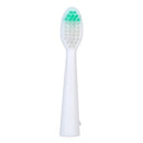 Waterproof Portable Electric Toothbrush AA Battery Brush with 2 Brush Heads