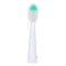 Waterproof Portable Electric Toothbrush AA Battery Brush with 2 Brush Heads