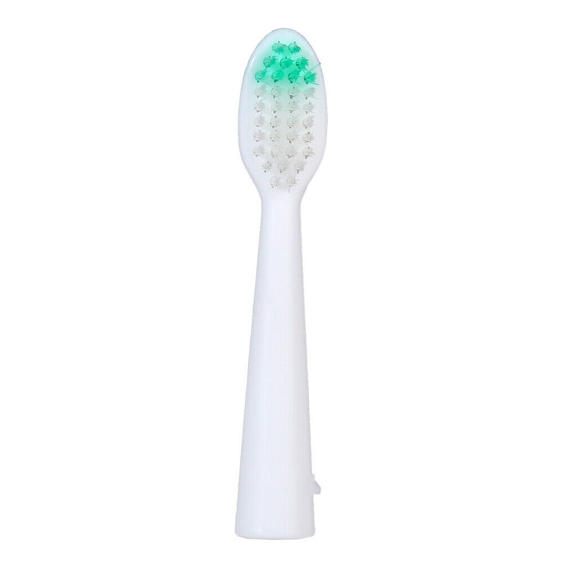 Waterproof Portable Electric Toothbrush AA Battery Brush with 2 Brush Heads