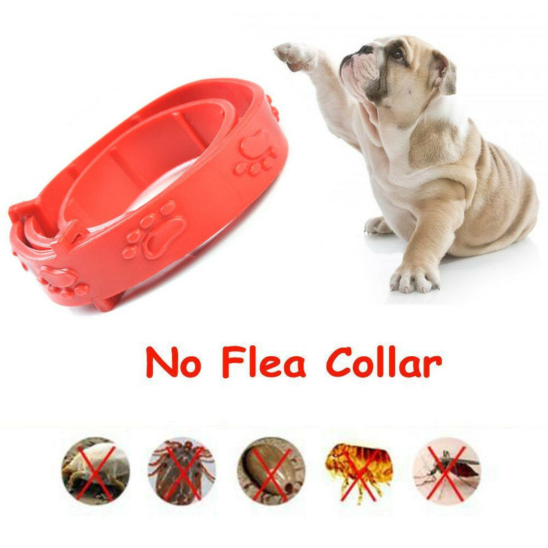 Insecticidal Anti Flea Pet Cat Collar Adjustable Mosquitoes Dog Ring Neck Straps