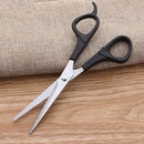 Beauty Hairdressing Hair Cutting Thinning Scissors Thinners Razor and Comb