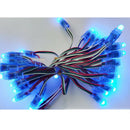 50Pcs Lights WS2811 Waterproof RGB LED String Lights LED Strip Garden DS Ew