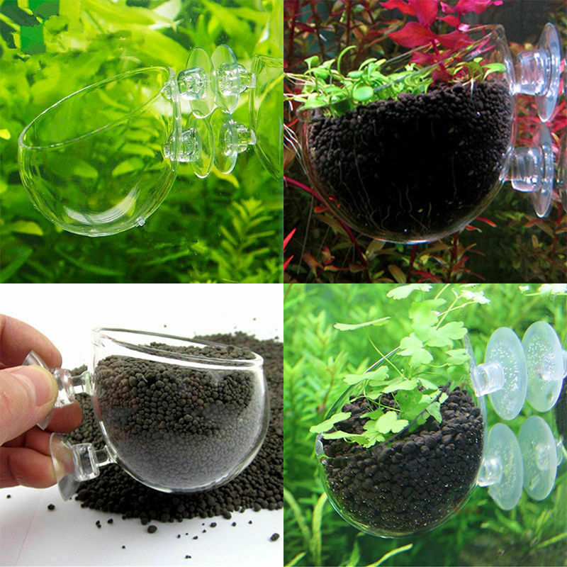 2Pcs Aquarium   Tank Glass Live Plant Cup Pot Crystal Red Shrimp Holder