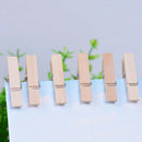 50x Small Wooden Cloth Photo Paper Peg UI Clothespin Craft Clips Memo Clip Delux
