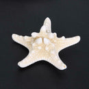 Natural Sea Star Girl Hair Stick Pins Lady Hair Clip Clamp Head Accessories