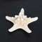 Natural Sea Star Girl Hair Stick Pins Lady Hair Clip Clamp Head Accessories