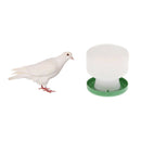 2 Pcs Pigeon Birds Supplies Water & Food Tools Small Parrots Pigeons Feed