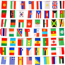 100 pcs Countries String Flag 25M International World bar party Banner BuntingOZ