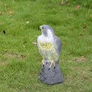Realistic Eagle Hawk Hunting Decoyl Bird Pigeon Scarer FOR Outdoor Garden Decor.