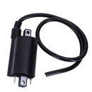 Ignition Coil Fits for Kawasaki Kaf620 Mule 2510 4X4 1992 1993 1994 1995 19 Y9Z9