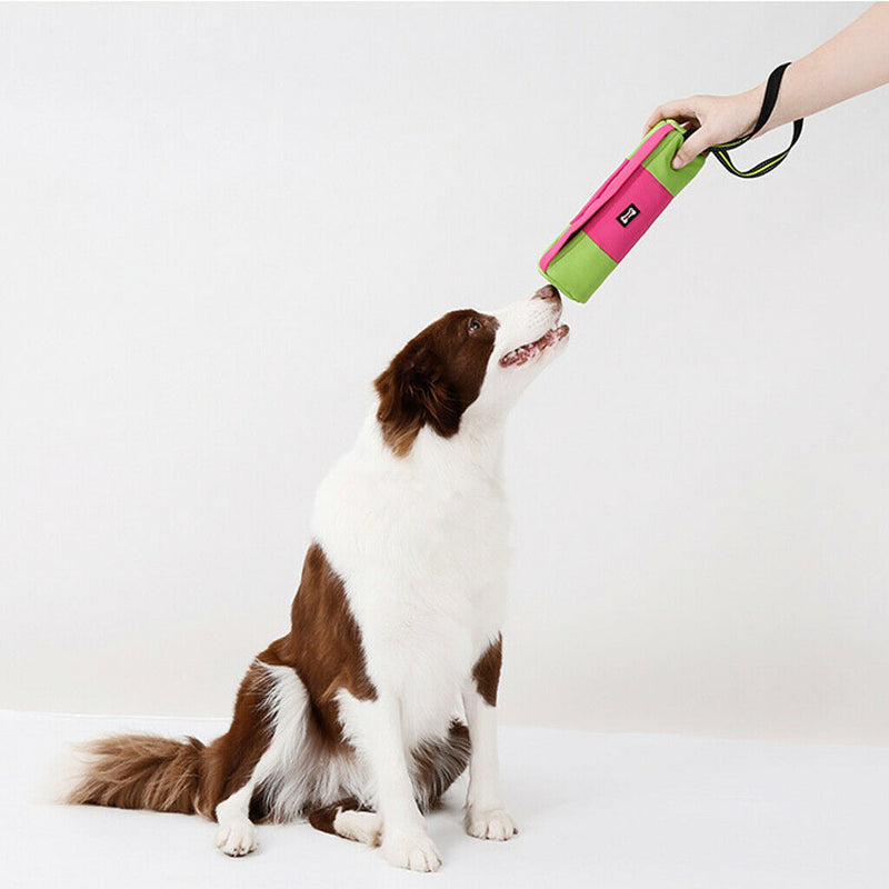 Dog Training Bag Shaped Training Bag