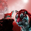 5D DIY Full Drill Diamond Painting Cross Stitch Embroidery Kit (Animal01)