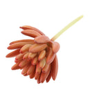 2pcs Artificial Succulents Plants Fingered Echeveria Desk Decor Photo Props