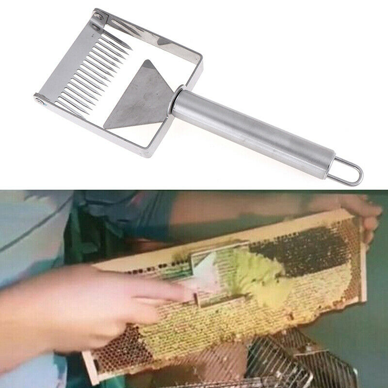 1x Stainless steel bee hive uncapping honey fork scraper shovel beekeeping to Gw