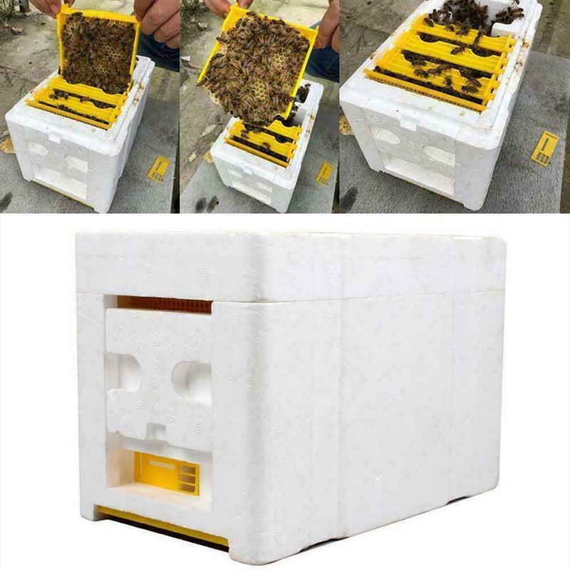 Hive Plastic Box Harvest Beehive Pollination Beekeeping Mating Bee Bee King X7H1
