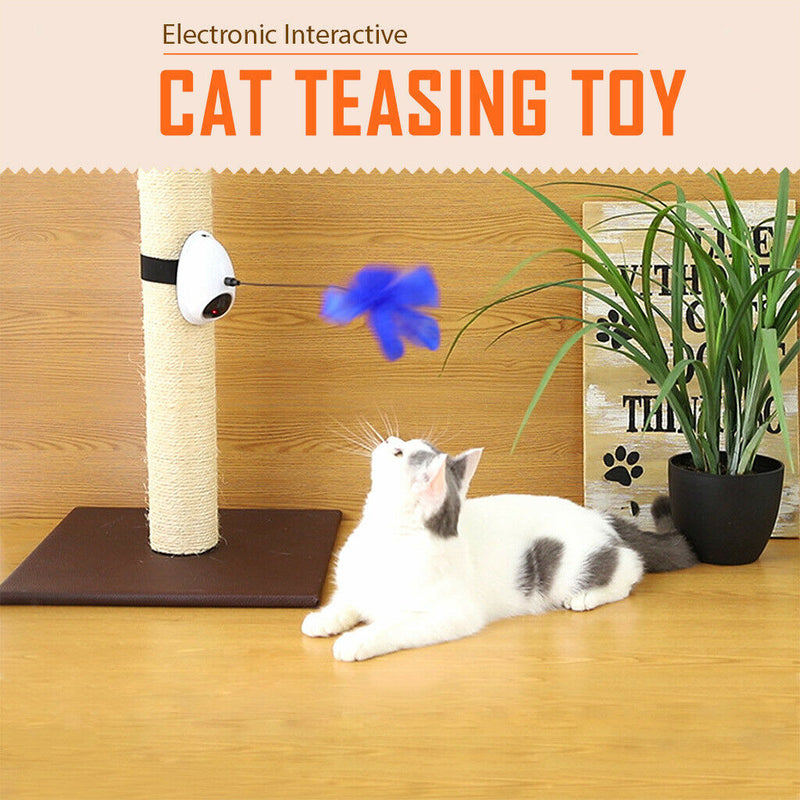 Kitten Cat Teaser Electronic Mouse Light Teaser with Feather for Pet Cats