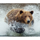 5D DIY Full Drill Diamond Painting Animal Cross Stitch Embroidery (C1150)