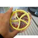 Plastic Pastry Cutter Dough Cookie Press Homemade Bread Rolls Stamp Baking  W6N8