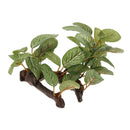 2x Reptile Plants Terrarium Lifelike Plants For Lizards Habitat Decoration