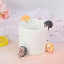 3pc capsule toys cute pets mini Hedgehog glass gashapon figures desktop Kids Kw