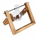 Wooden Stand Transparent Glass Plant Containers Standing Hydroponics Plant  V4I3