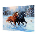 5D Diamond Painting Full Drill Kits Rhinestone Picture Art Decor-30x20cm-Horse