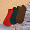 Women Socks Happy Fashion Ankle Funny Socks Women Cotton Embroidered Express- OZ