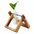 Wooden Stand Transparent Glass Plant Containers Standing Hydroponics Plant