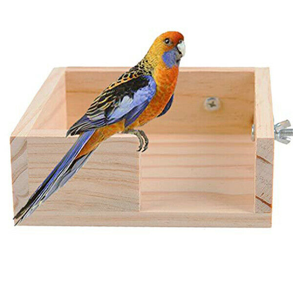 Pet Bird Perch Parrot Parakeet Stand Platform Food Feeder Corner Desk Small Q6V6