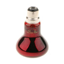 B22 220V UVA Reptile Bulb, Nightlight Infrared Heater for Pet Coop Heater
