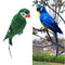 2pcs Vivid Colorful Parrot Birds Statue Garden Sculpture Home Art Ornament 45cm
