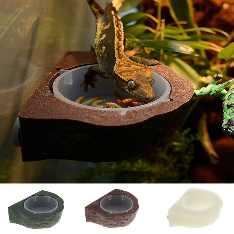 2pcs Mini Magnet Feeding Ledge For Gecko Diet, Food or Water & Plastic Cup Bowl