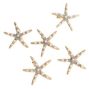Fashion Lady Girl Beach Wedding Natural Starfish Sea Star Hair Clip Hairpin FT