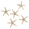 Fashion Lady Girl Beach Wedding Natural Starfish Sea Star Hair Clip Hairpin FT