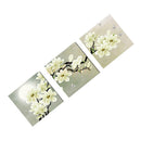 3-panel Art Oil Paintings Canvas Print Wall Pictures Home White Orchid 40cm