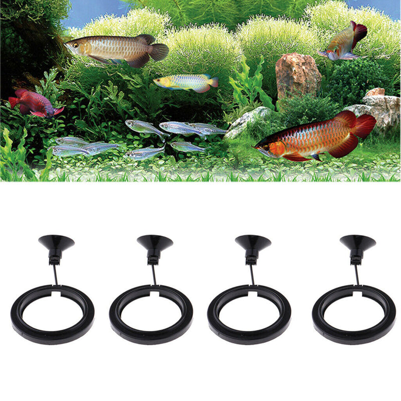 4 x Duable & Environmentally-Friendly Fish Feeding Square - Plastic Aquarium