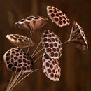 Lotus Natural Dried Flowers Bouquet Branch Decorations Floral for Party H-3C