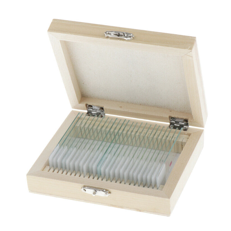 25PCS Children Glass Prepared Slides for Microscope of Insects Sample Specimens,