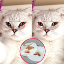 100pcs Pet Dog Cat Eyes Cleaning Paper Towels Eye Wet Wipe Stain Remover