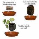 Plant Your Own Giant Sunflower Plant Kit - Indoor Windowsill Gift Gardening K2C2