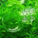 New Crystal Glass Live Plant Cup Red Shrimp Aquarium Holder FishTank G6V8