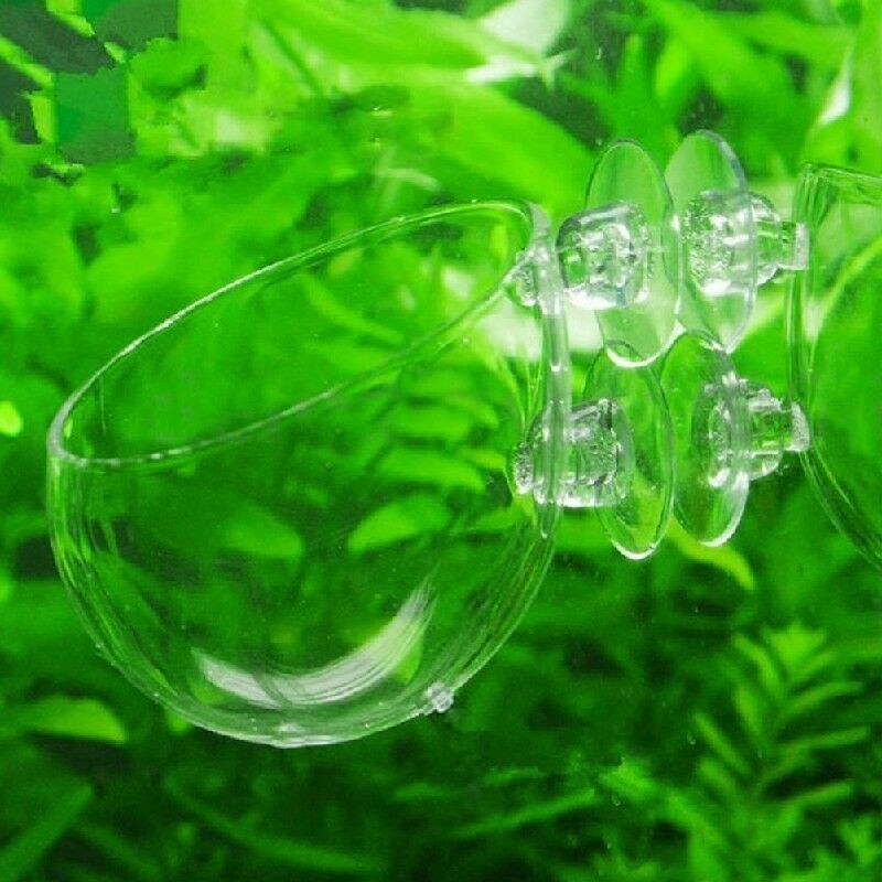 New Crystal Glass Live Plant Cup Red Shrimp Aquarium Holder FishTank G6V8