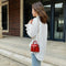 Elegant Leather Mini Shoulder Bags Women Chain Messenger Handbag (Red)