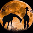 Full Round Drill Diamond Painting DIY Silhouette Giraffe Embroidery Picture